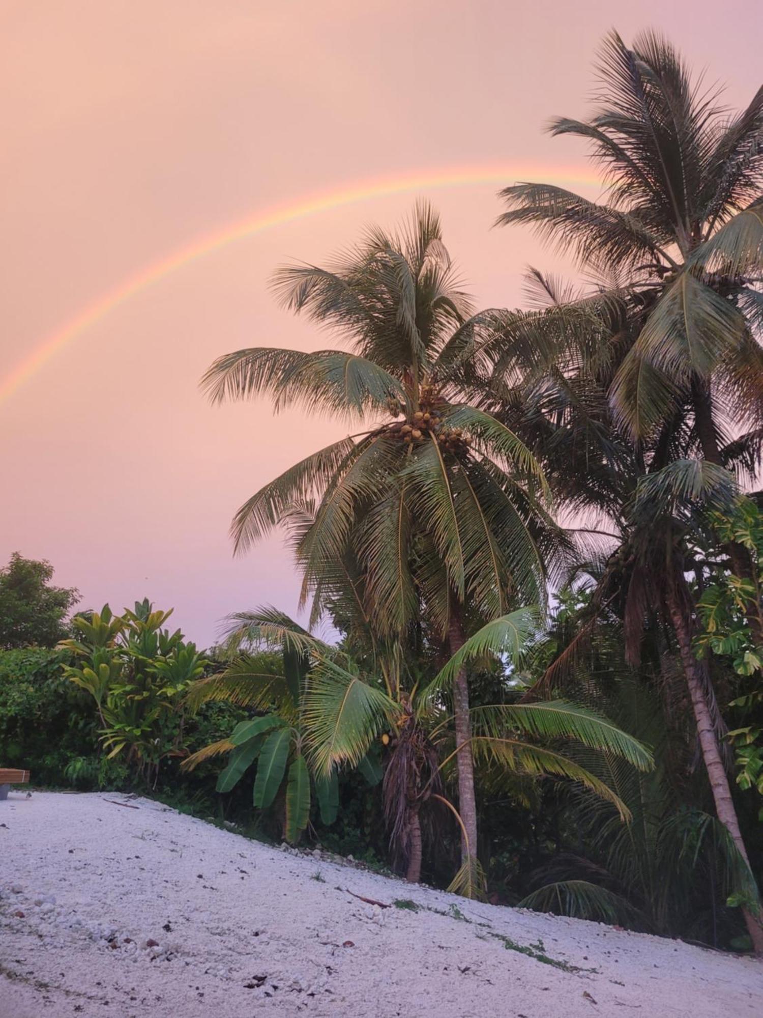 Ti Cocon Nature Sainte-Anne (Grande-Terre) Exterior foto