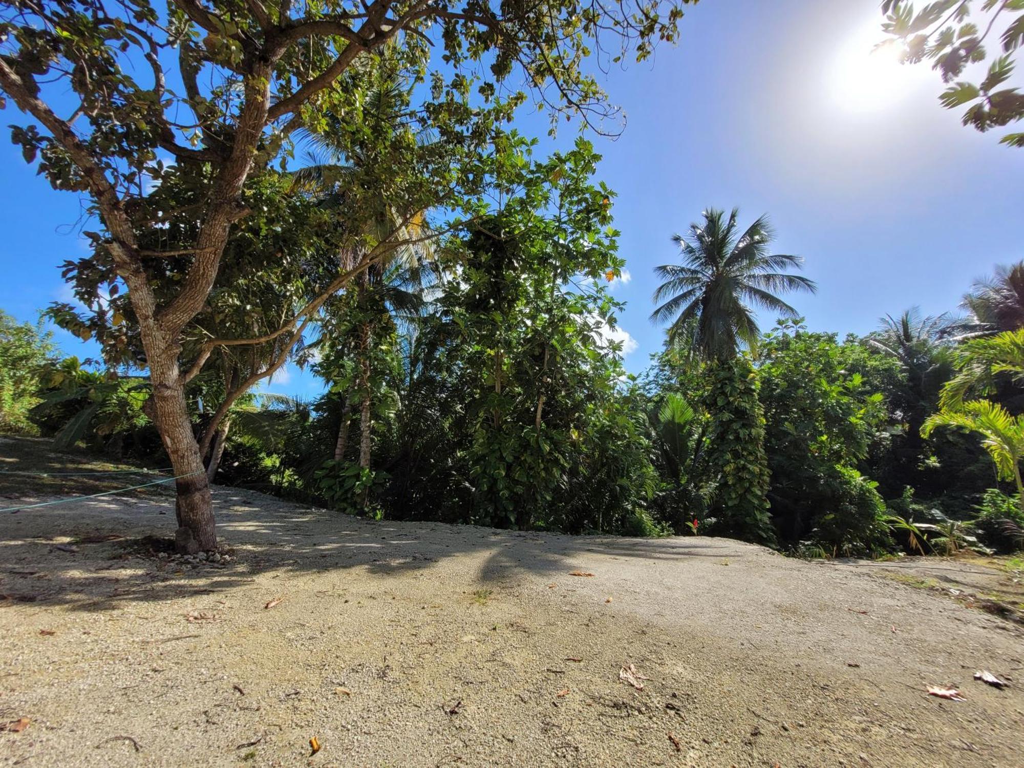 Ti Cocon Nature Sainte-Anne (Grande-Terre) Exterior foto