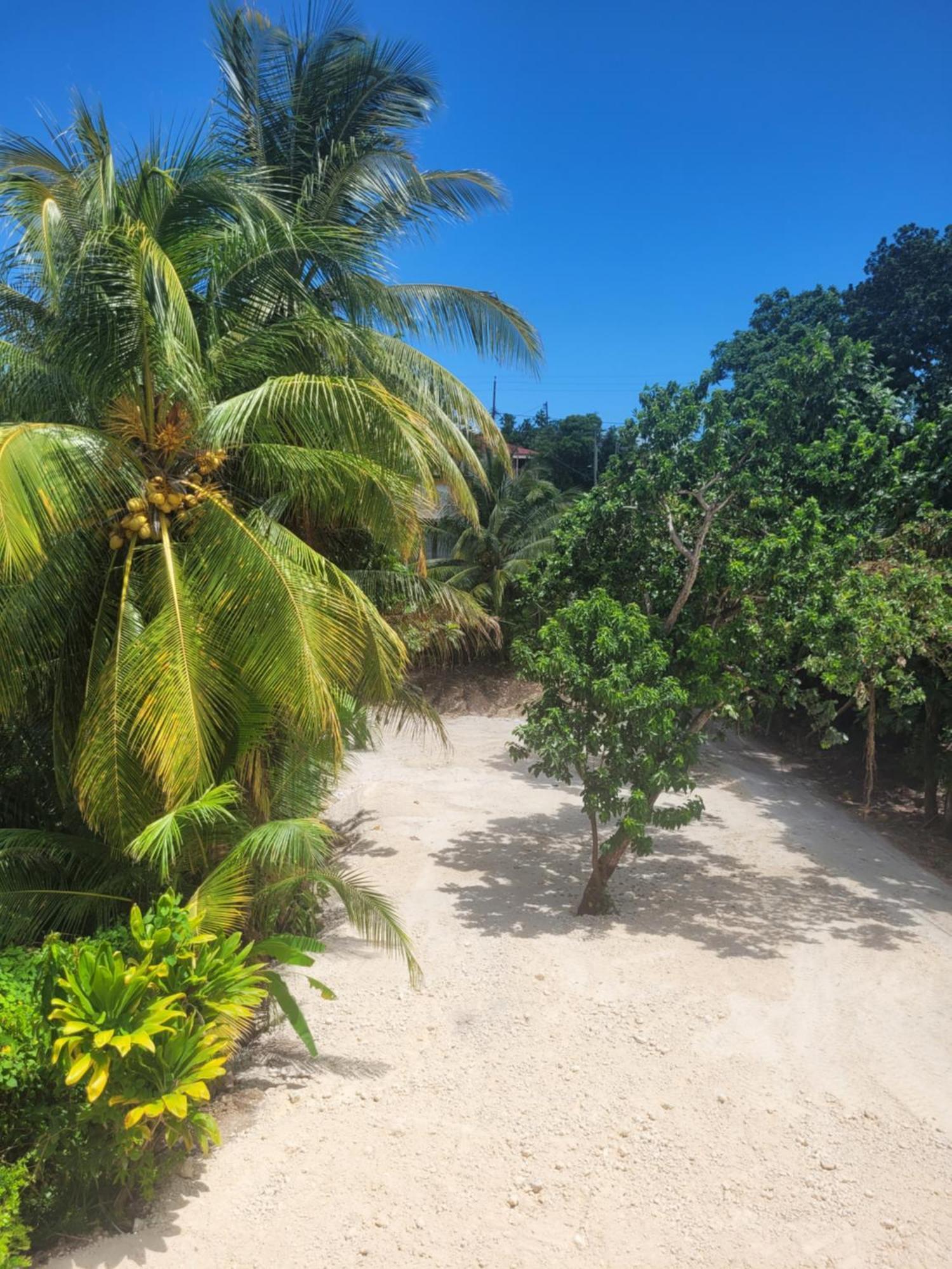 Ti Cocon Nature Sainte-Anne (Grande-Terre) Exterior foto